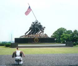 Picture Of Bobo at the Iwo Jima Memorial.